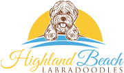 Highland Beach Labradoodles
